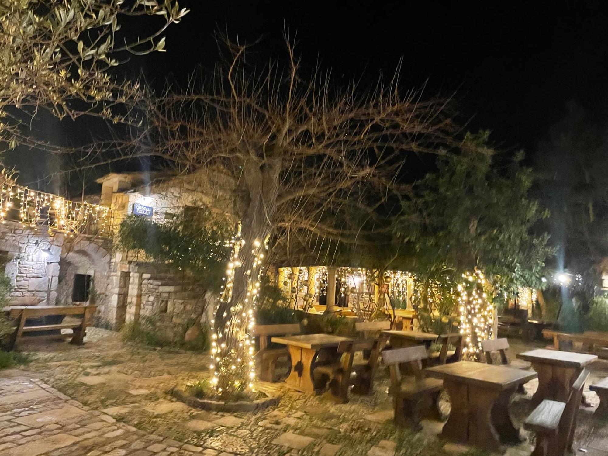 My Adriatic Place With Private Garden And Garage 希贝尼克 外观 照片